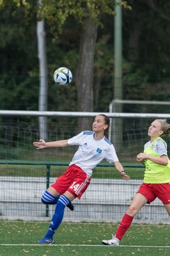 Bild 48 - C-Juniorinnen HSV - Walddoerfer : Ergebnis: 9:1